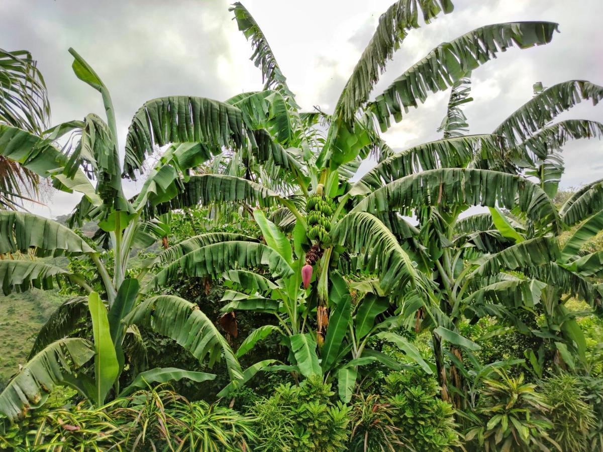 Finca Cuipo Buritaca Bagian luar foto